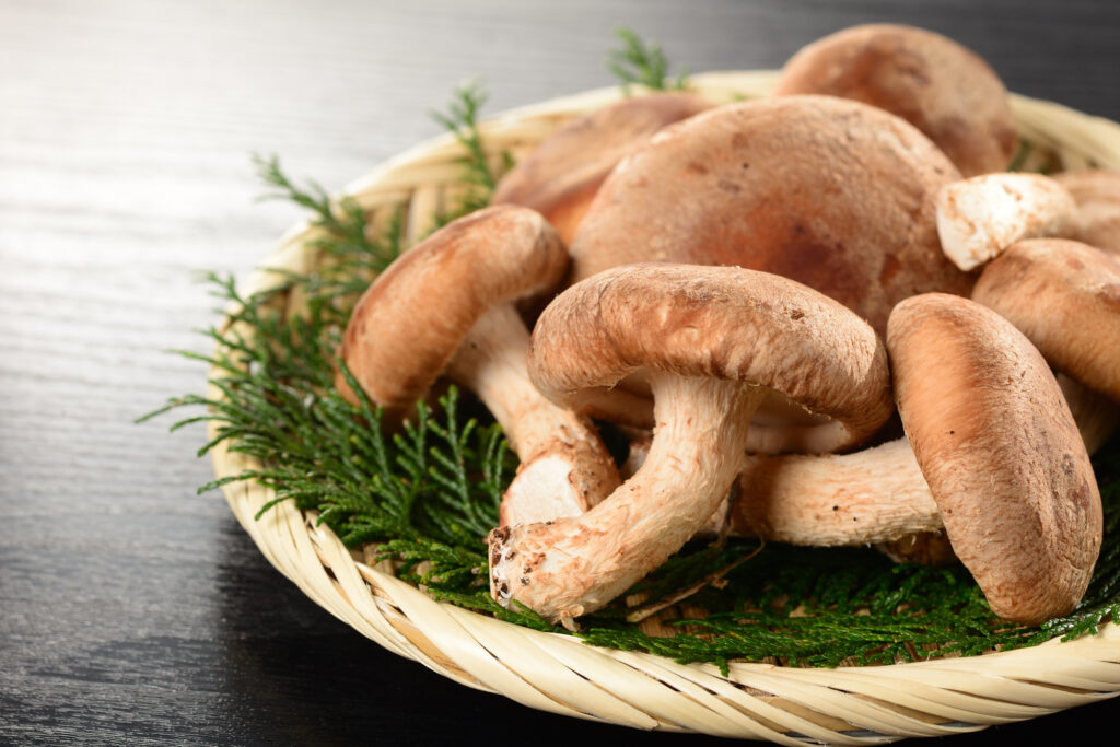 しいたけが黒いけど食べられる？傘の裏や軸が黒くなる原因や見分け方、保存方法を詳しく解説！おうちごはん研究所