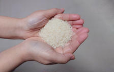 1kgのお米は何合