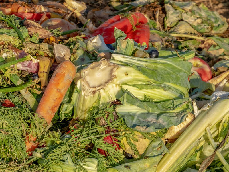 野菜のヘタや皮をおいしく活用！ ベジブロスを使った「クリームソース添えしょうがご飯」WEBマガジンサーモス