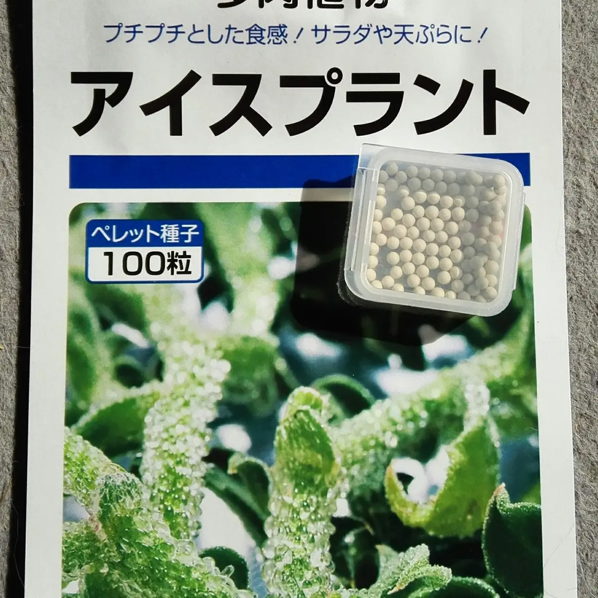 Amazonアイスプラント 9cmポット苗野菜