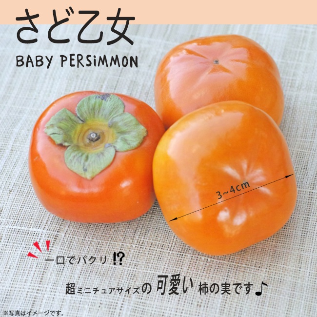 佐渡産！甘さ際立つ、りんごジュ－ス1L×3本：新潟県産の加工品｜食べチョク｜産地直送(産直)お取り寄せ通販 - 農家・漁師から旬の食材を直送