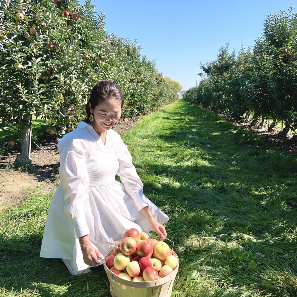 小麦先物14年ぶり高値、週間で40％高 トウモロコシも高騰nippon.com