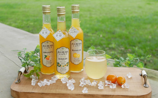 手作りフルーツシロップ 300ml×7本セット 柑橘 果物 フルーツ ジュース フルーツソース レモン ゆず 金柑 甘夏 清木場果樹園鹿児島県南さつま市セゾンのふるさと納税