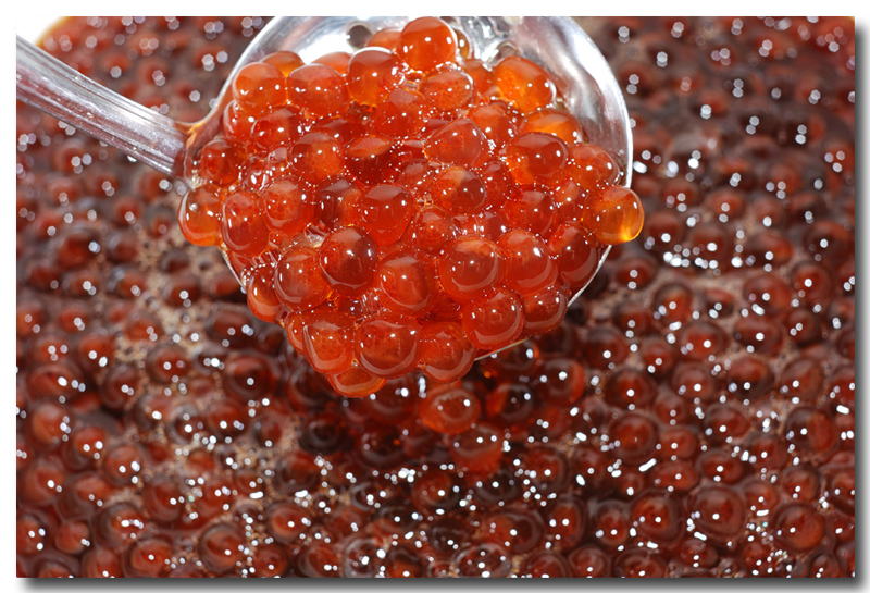 生筋子から作る いくら醤油漬株式会社魚力