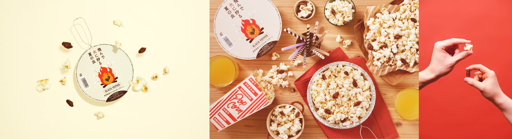 白いフワフワの虫は何？触ると飛ぶ。 新たな脅威・急拡大の外来ハゴロモについて篠宮バラ園