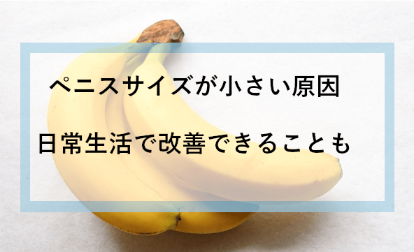 チンコぬいぐるみ 抱き枕 大きいサイズ ねむねむ