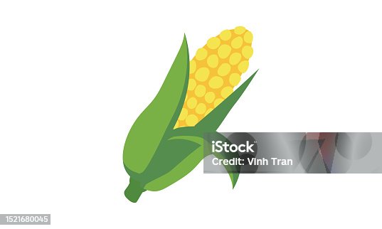 甘くておいしいのに栄養豊富? 「とうもろこし」を食べよう