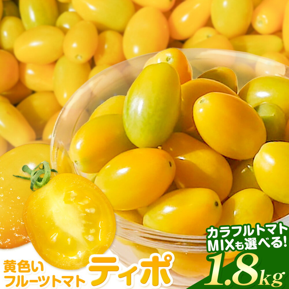 トマトジャングルイエロー ミニトマトミニトマト栽培の常識を転換。わき芽はとらずに黄色の果実をつける トキタ種苗の野菜品種カタログ・栽培ガイド