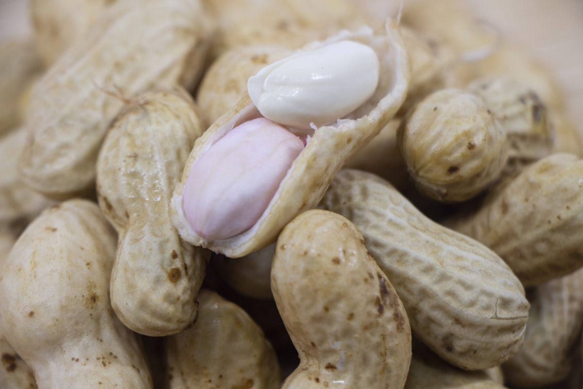 落花生の炒り方