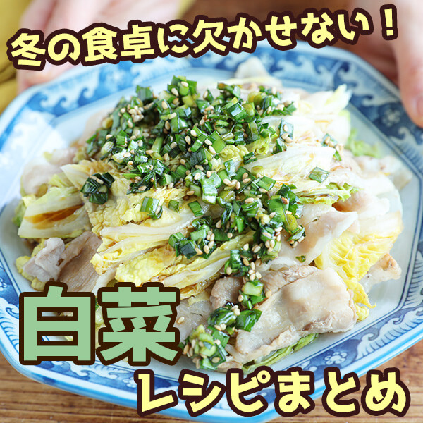 白菜の煮びたしのレシピ・作り方 簡単＆時短- レタスクラブ