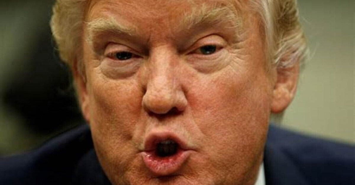 頭ひんやりキャベツ帽子楽チンＭＡＭＡ - 楽天ブログ