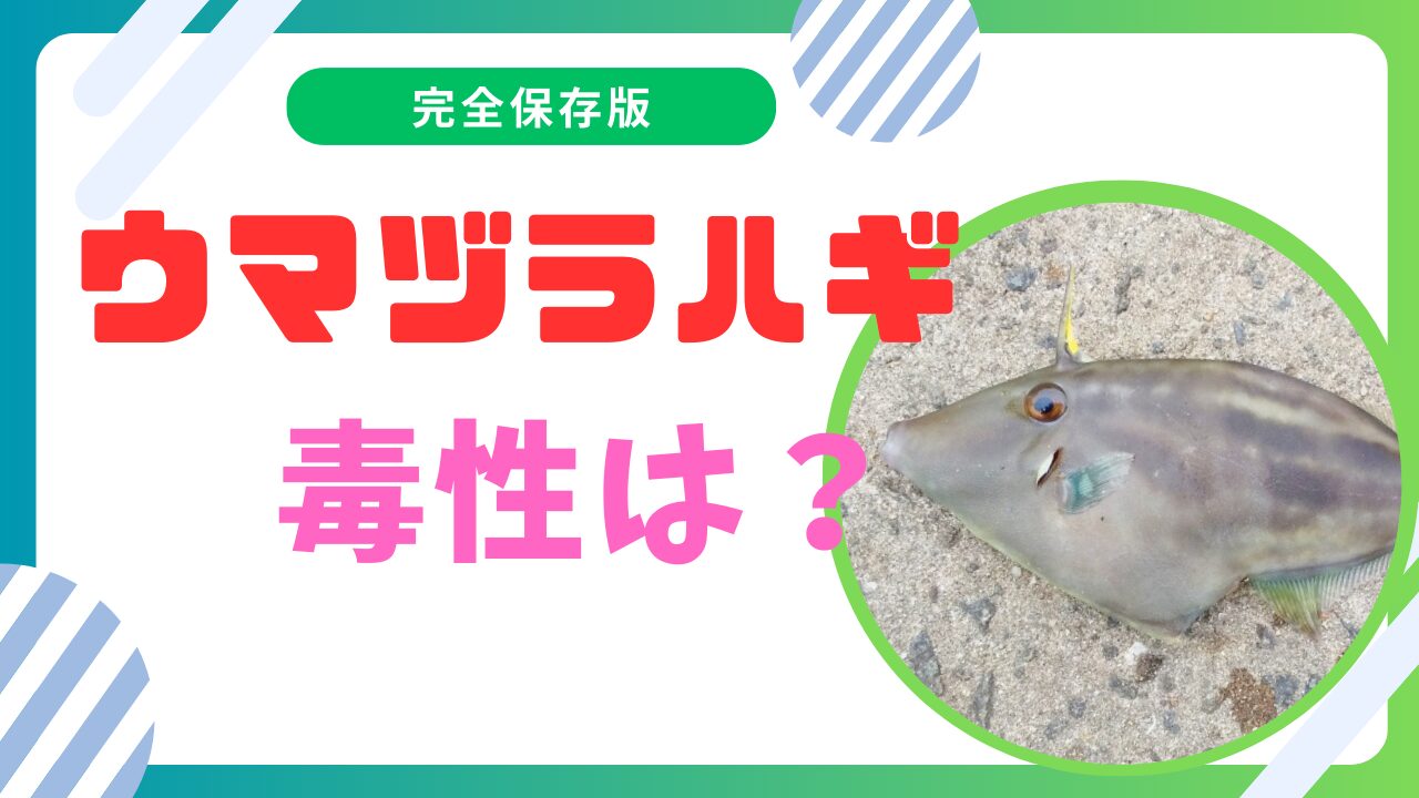 ドジョウの丸煮 佃煮 、蒲焼き、マース煮