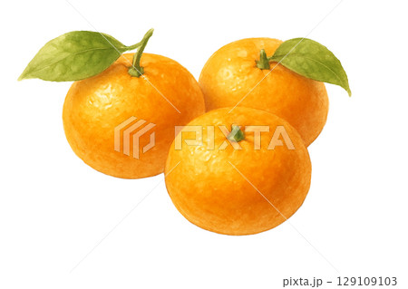みかんの画像素材 159,895点以上の高品質な写真・イラスト素材- PIXTA ピクスタ