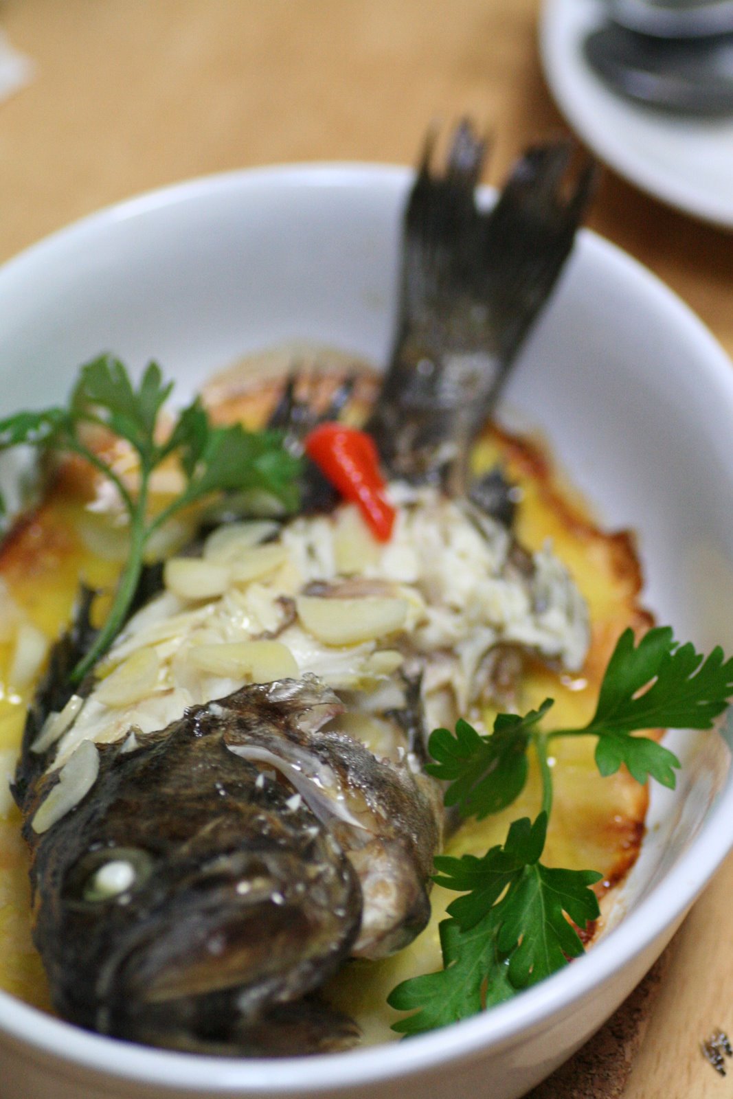 北海道の鯛!? 黒ソイの生態とおすすめレシピ4選 - macaroni