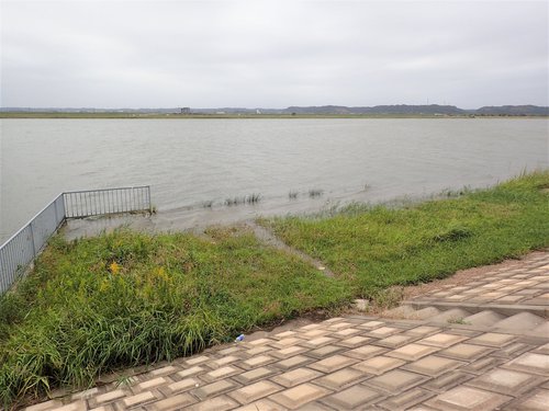 稲敷市(茨城県)のピンポイント天気予報-雷雲の動き｜釣り天気.jp 釣り人必見の天気・気象情報