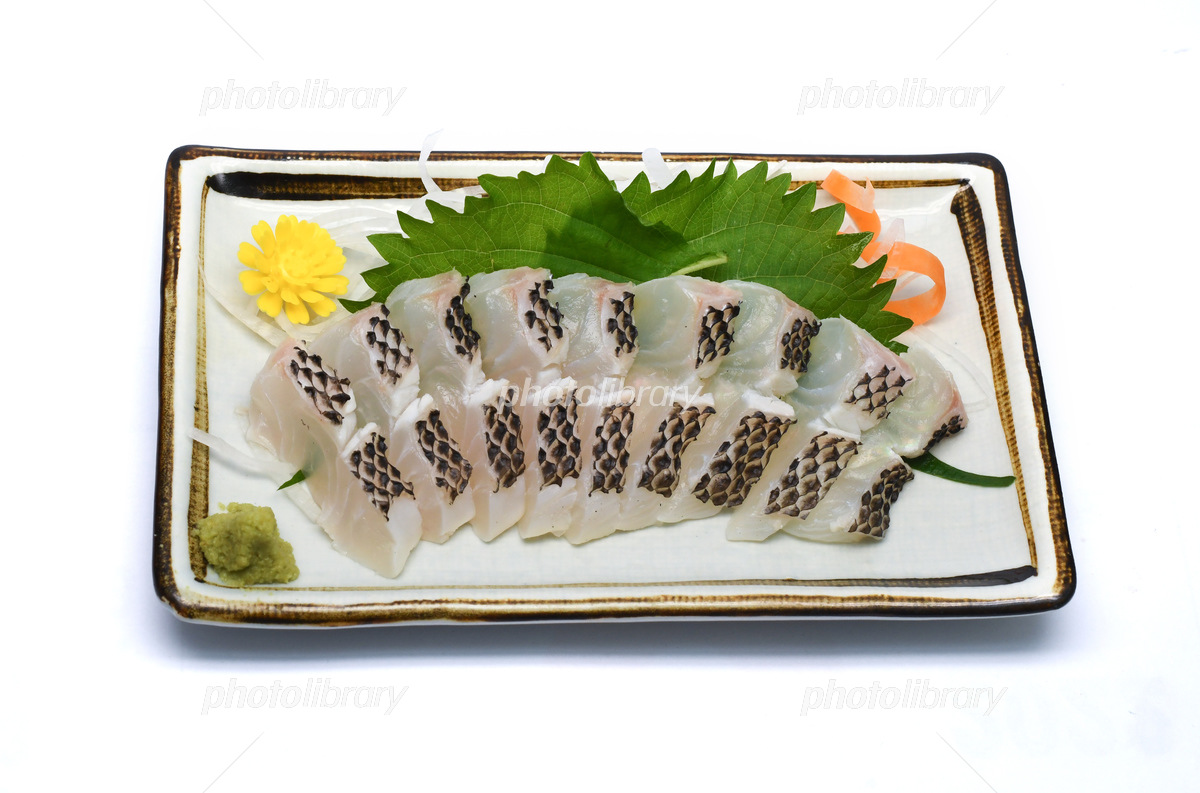 希少高級魚 メイチダイ 刺身 - 南流山の和食「おが和」の最新情報バックナンバ