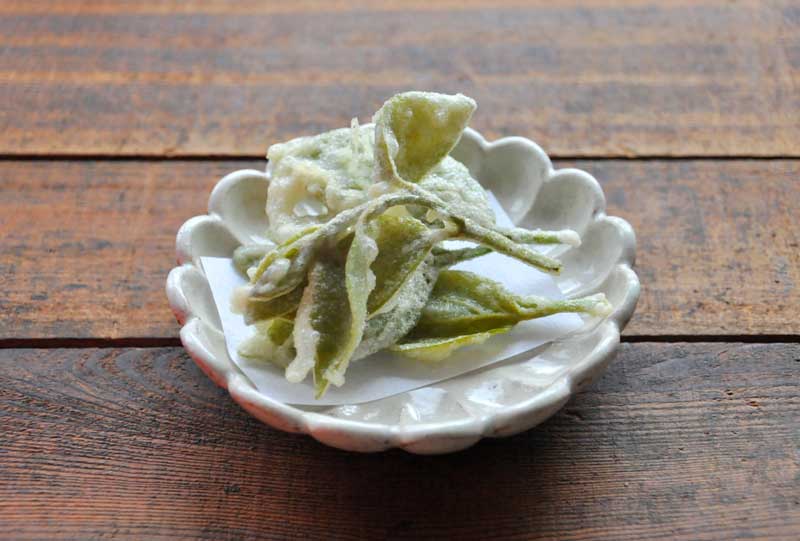 亀田の柿の種」が天ぷら・から揚げ・燻製化した「TANEBITS」を長蛇の列を乗り越え買ってみました - GIGAZINE