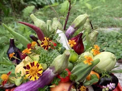 野菜ブーケ スペシャルグリームナックShop