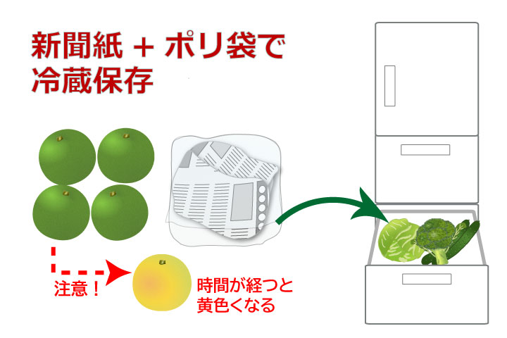 かぼすとすだちとライムの違いは？果汁や皮の使い方や保存法についても食のエトセトラ
