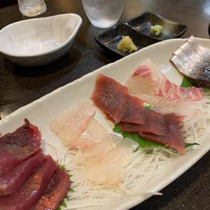 朝霞市「江戸政寿司」本気で感動した！創業50年の名店で絶品海鮮ちらしランチ食べて埼玉