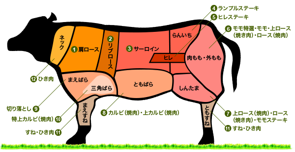 焼肉ロース一枚のカロリーは何kcal？太らない食べ方とダイエット向きの部位を解説コラム小田原市で焼肉なら炭火焼肉ホルモン酒場 仙次郎