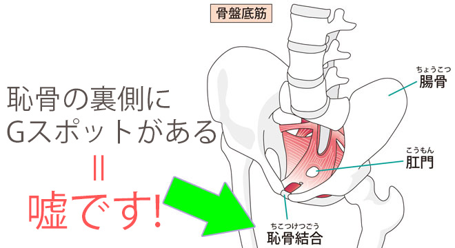 妄想ヴァジナリティ【妄想を具現化する本気の膣内感触 桃色ダブルソフト構造オナホール 620グラム