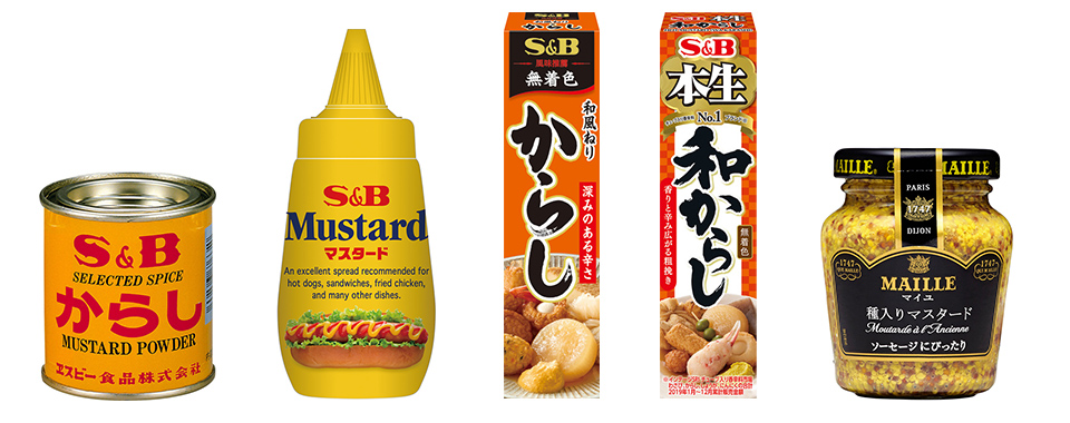 テーオー フレンド 洋からし 300g