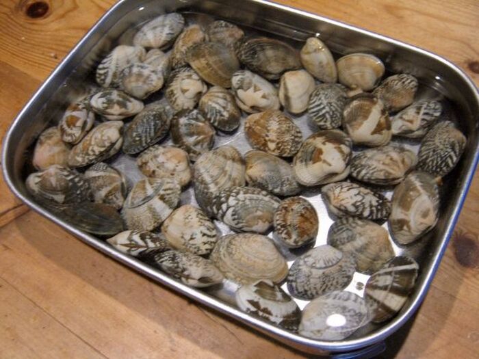 あさりの砂抜き＆冷蔵・冷凍保存テク〜必要な時間や、失敗しないためのコツ〜Lidea リディアby LION