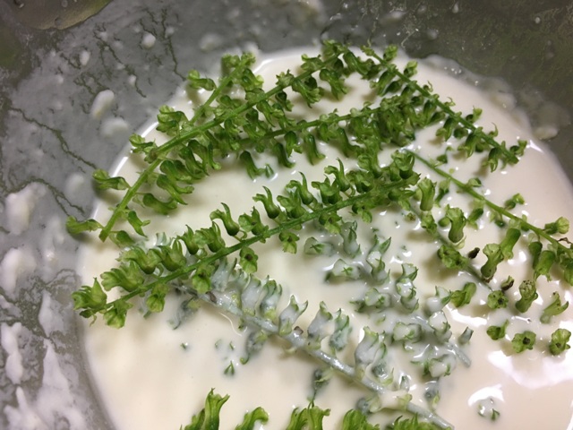 紫蘇の実の食べ方と調理法の紹介