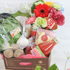 華やかな アルストロメリア 上級品・生花 花農家直送品A ９月～３月発送 花丈80cm・30本前後 KS-101長野県佐久穂町ふるさと納税サイト「ふるなび」