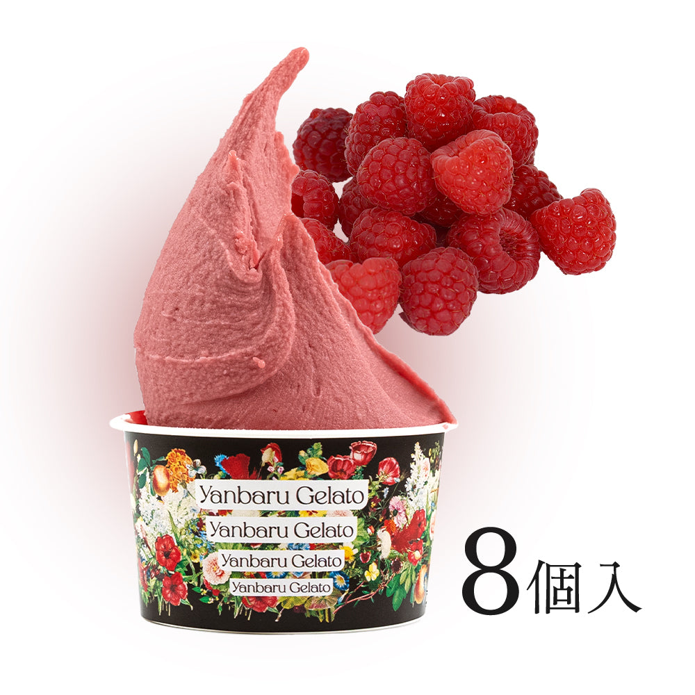 アイスクリーム業務用 気品あるベリーの香り フランポワーズラズベリーフランボワーズ・ソルベ - 業務用アイス