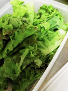 グリーンリーフ&レタス類の水きりと保存 - 顔が見える食品