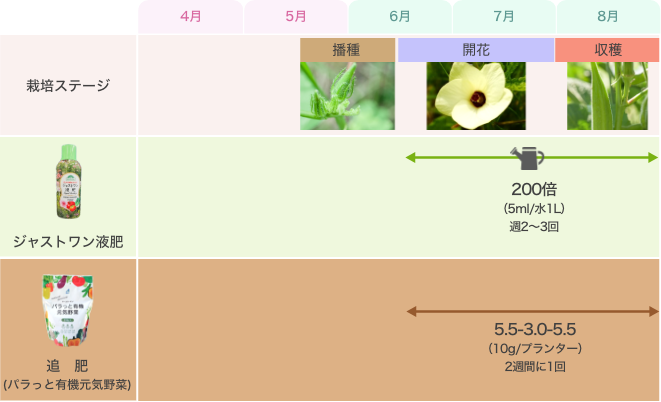 オクラの育て方・栽培方法 植え方やお手入れのコツやポイントまで。通販 - ディノス