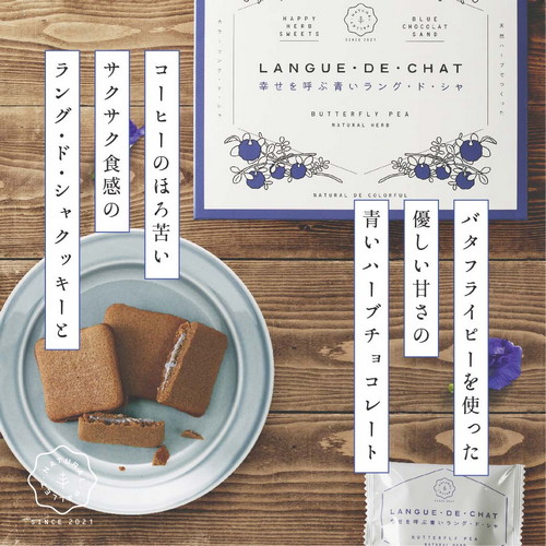 とびだしとび太君みーすけの日常生活