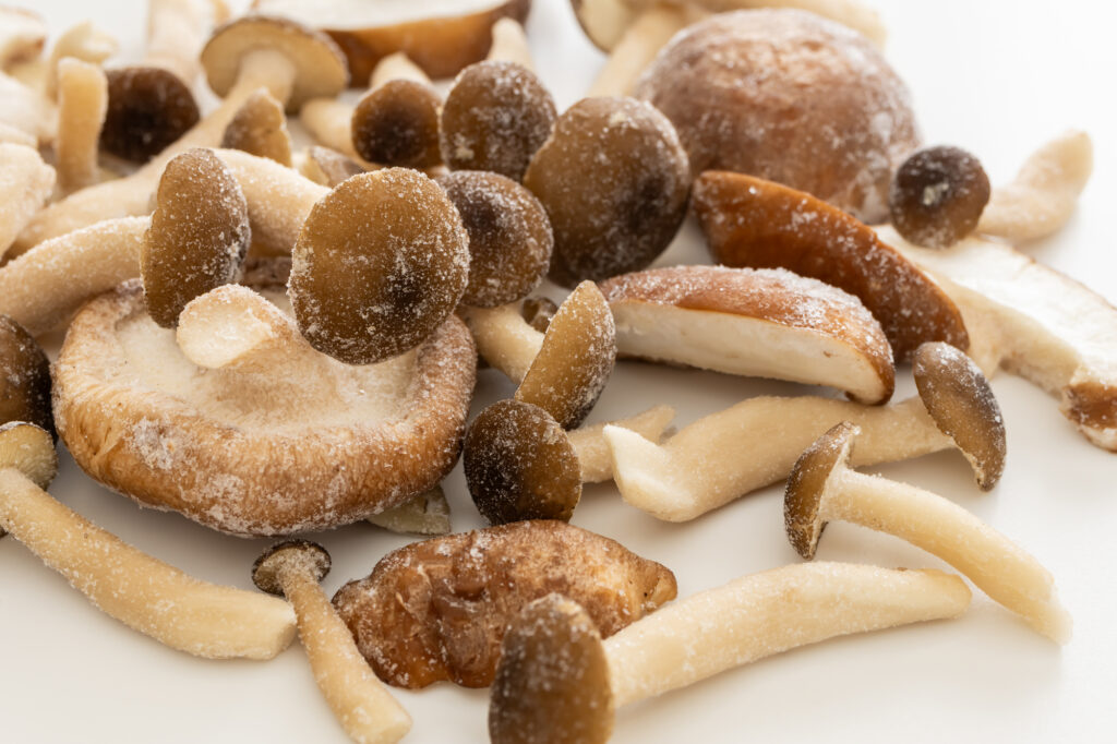 楽天市場 生椎茸 一番採り 生どんこ : 夜の八百屋さん