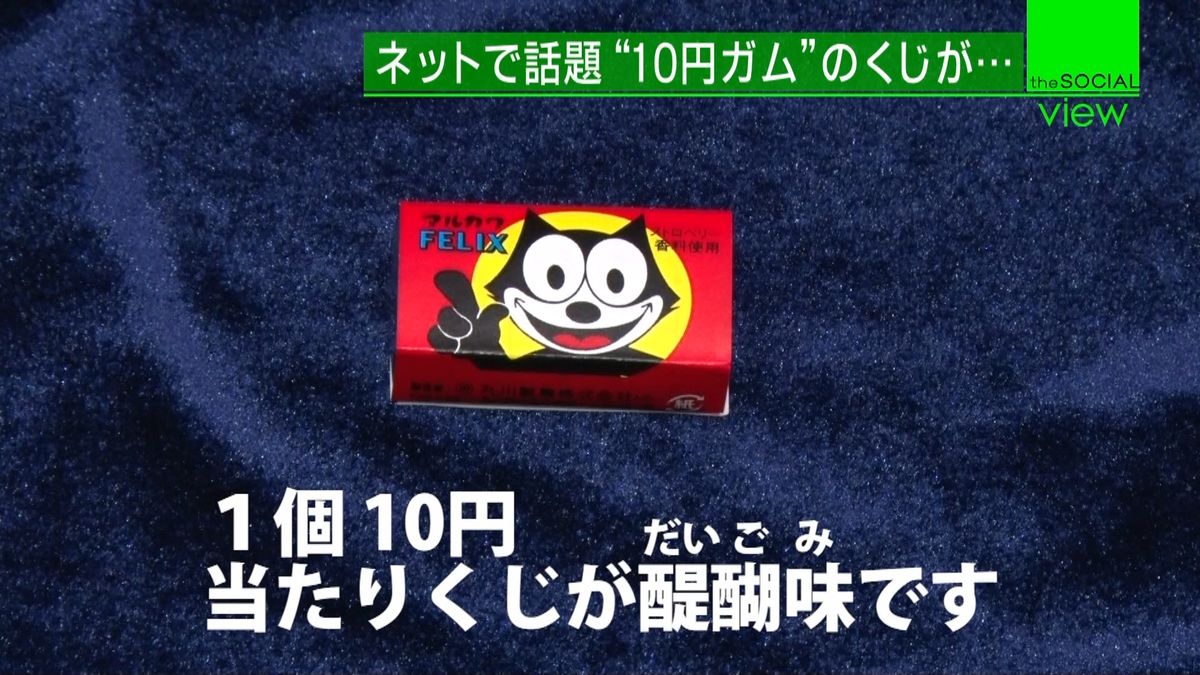 フィリックスガム」の人気商品一覧安い商品を通販サイトから探す - 価格.com