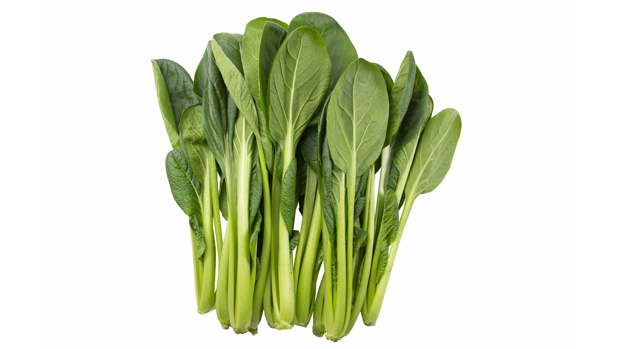 小松菜のカルシウムはホウレンソウの3倍以上！ 鈴木杏樹のいってらっしゃい– ニッポン放送 NEWS ONLINE