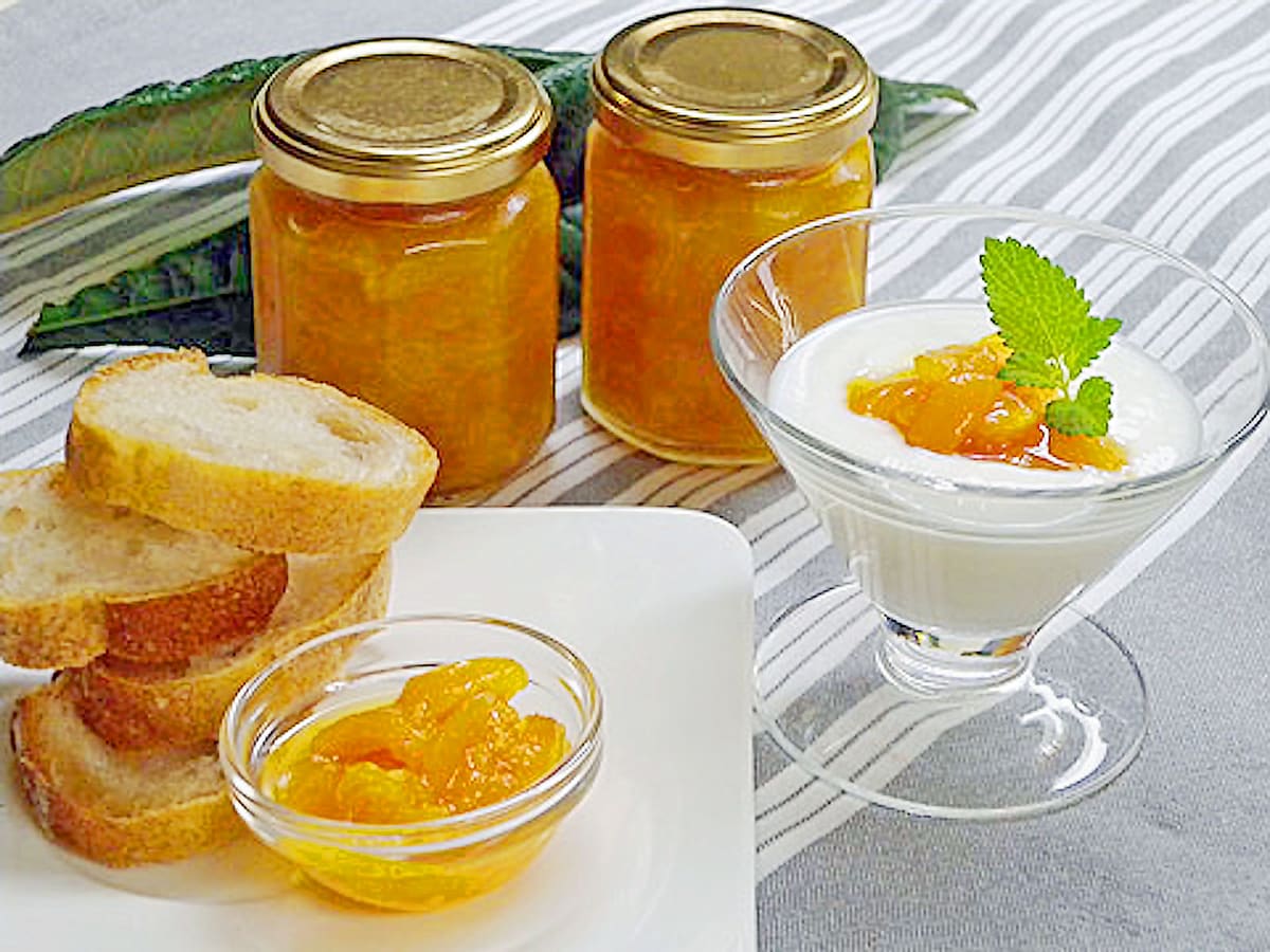 正体不明の敵との静かなる戦い - びわ農家の気持ち