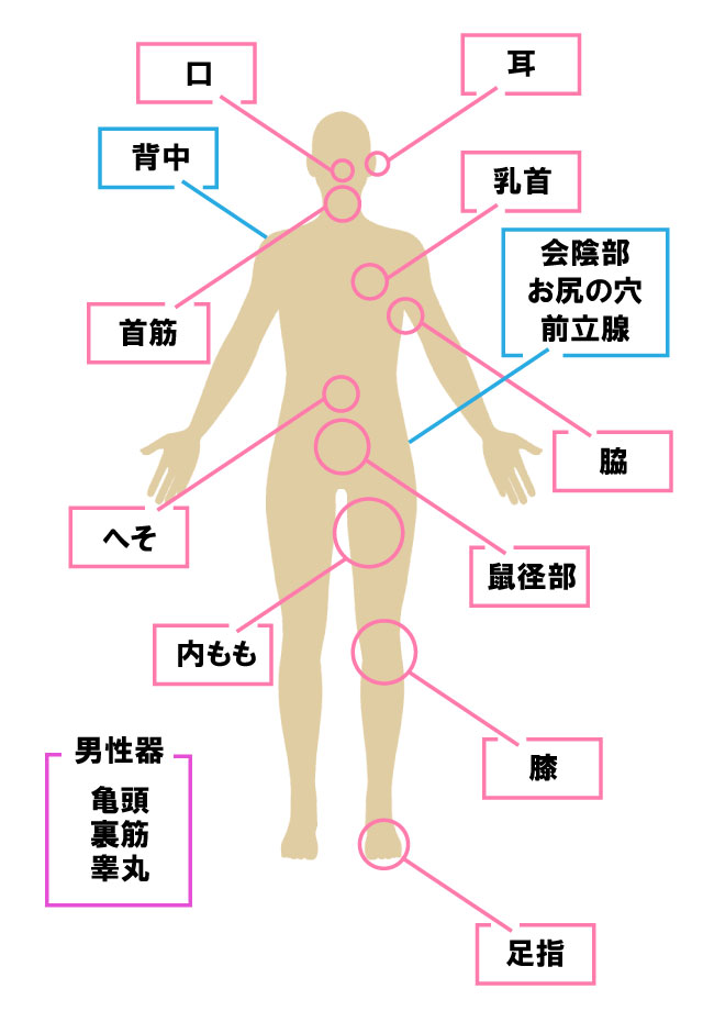 男子がセックスで新たに発見した性感帯を語る♡好奇心の先にあった最上級の快感とは？ | ファッションメディア - andGIRL