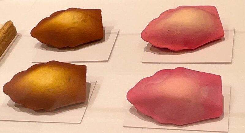 ホテル・リッツで有名なマドレーヌ - タラソテラピー＆ライフ