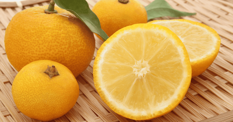 鬼柚子 おにゆず 獅子柚子 ししゆず の使い方と食べ方しまんトロッコガイド☆地元のおばちゃんブログ