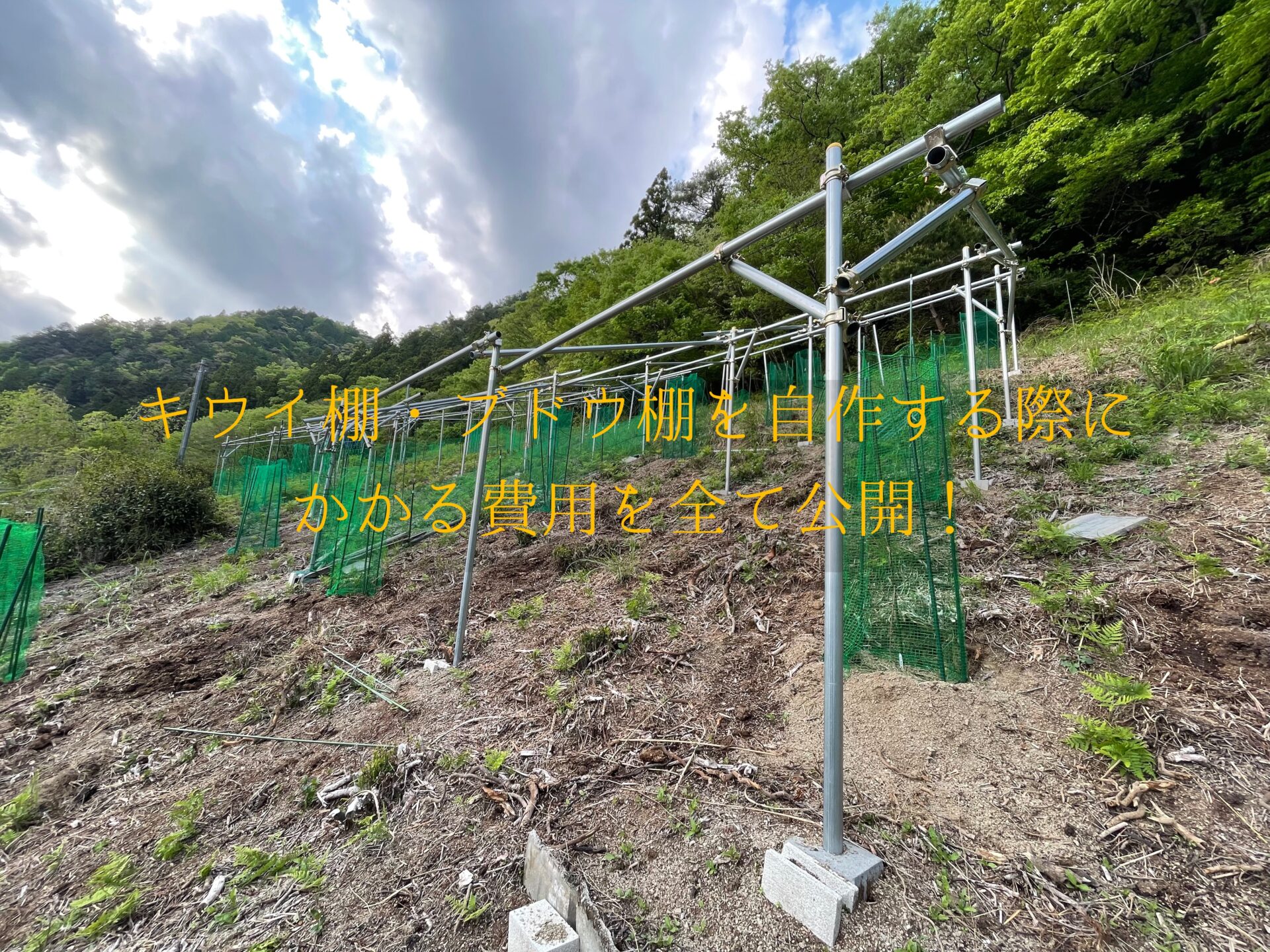 簡単 単管パイプでぶどう棚DIY。作り方と費用をブログで解説家庭菜園エメラルドのマイホーム