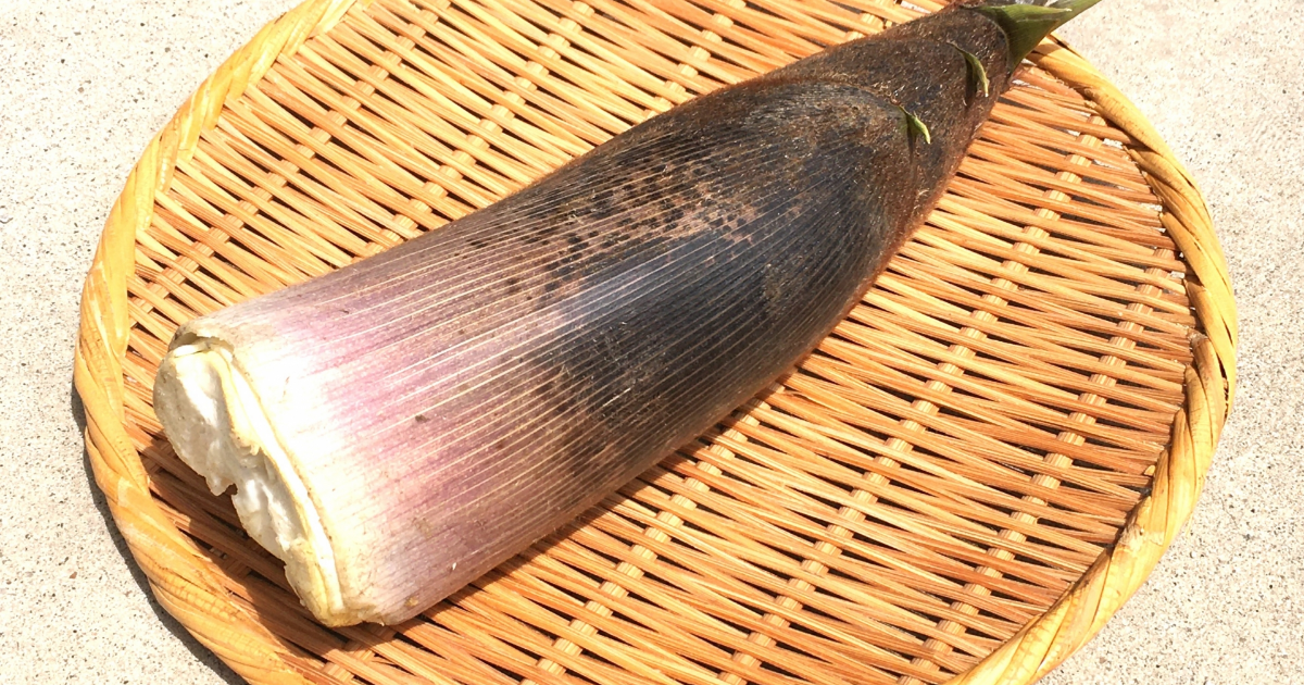 俺天才かって思ったので投稿😆え？笑 たけのこと新生姜の味噌和え 1 たけのこは皮に切れ目を入れて、ぬかと潰した梅干しいれてゆがく。いい感じに火が入ったら汁につけたまま冷ます。2 たけのこと新生姜を、お寿司のガリくらいの勢いで薄くきる。 3 2に米酢、小豆味噌