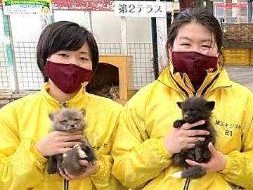 上野動物園生まれのシャンシャン、パンダ写真家との絆 261日ぶりの再会 |