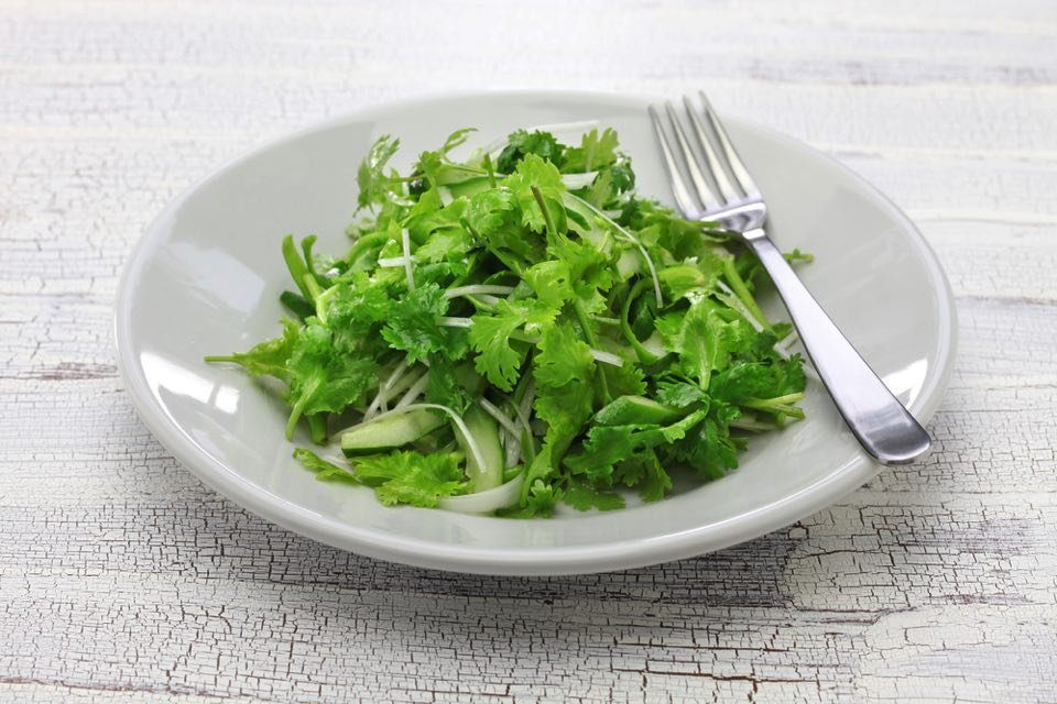 肉汁餃子のダンダダンで楽しむパクチーサラダの魅力