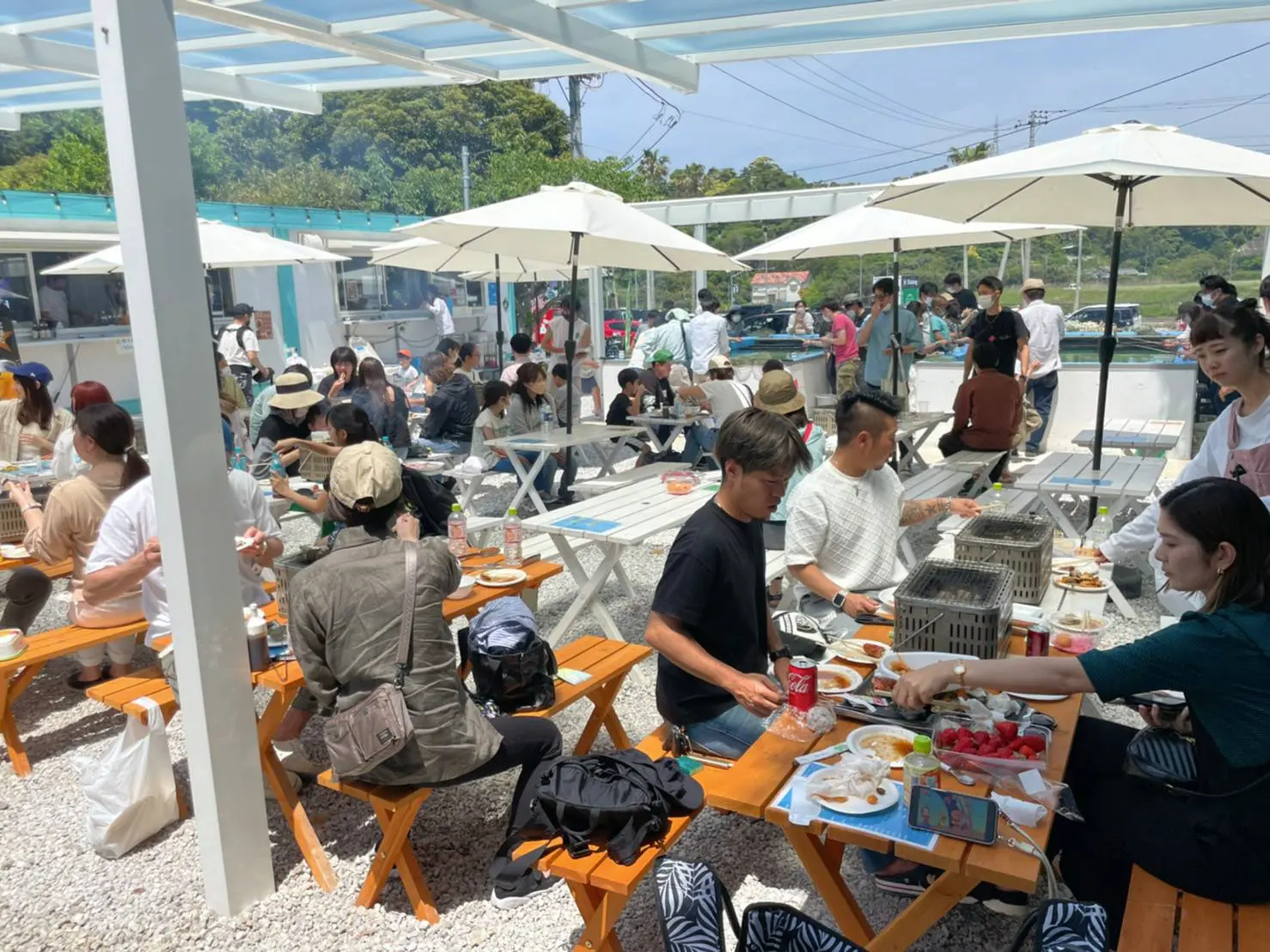 チバっとクッキング 第2話「アジのなめろう・さんが焼き」 千葉県