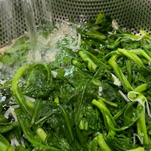 簡単！春菊のおひたしレシピ