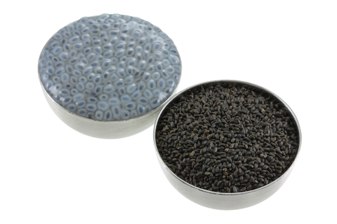 先日収穫したバジルを水につけていたら カエルの卵みたいなものがたくさん😮 と思ってよーくみたらバジルシードドリンクでお馴染みのバジルの種だった❕植物って面白い🌱shunnokitchenやさいの教室やさいの教室ワークショップバジルシード