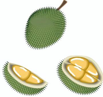 世界で一番臭いフルーツが好きすぎる♪ 愛してやまないドリアンの話 - インド大好き！ティラキタブロ グインド大好き！ティラキタブロ グ