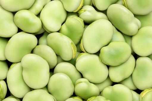 そら豆の植物イラスト素材透過、PNGフリー画像ダウンロード - Pngtree